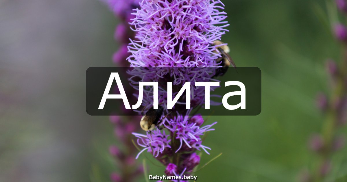 Алита