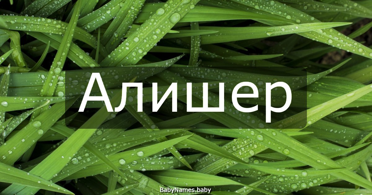 Алишер