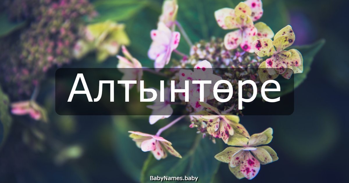 Алтынтөре