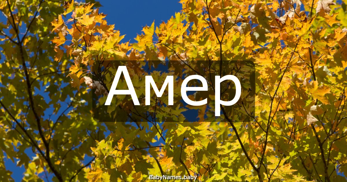 Амер