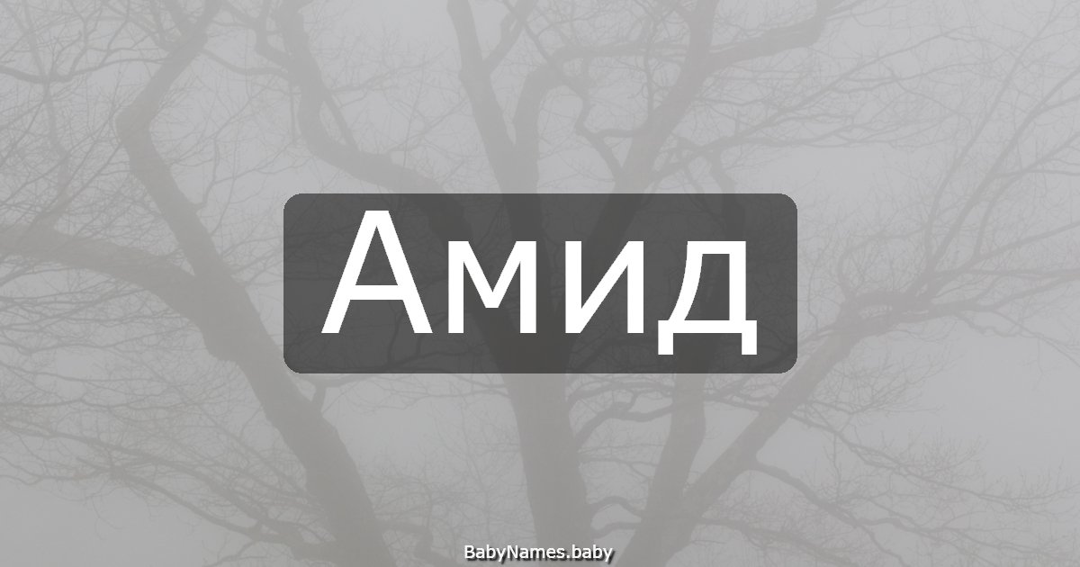 Амид
