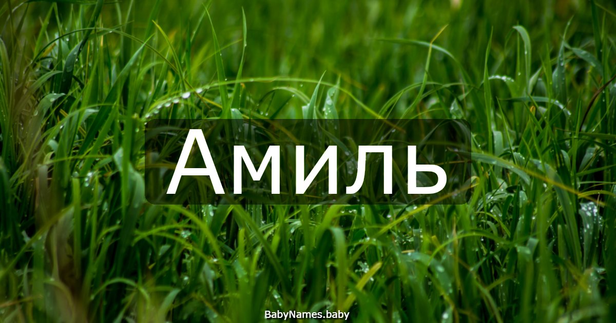 Амиль