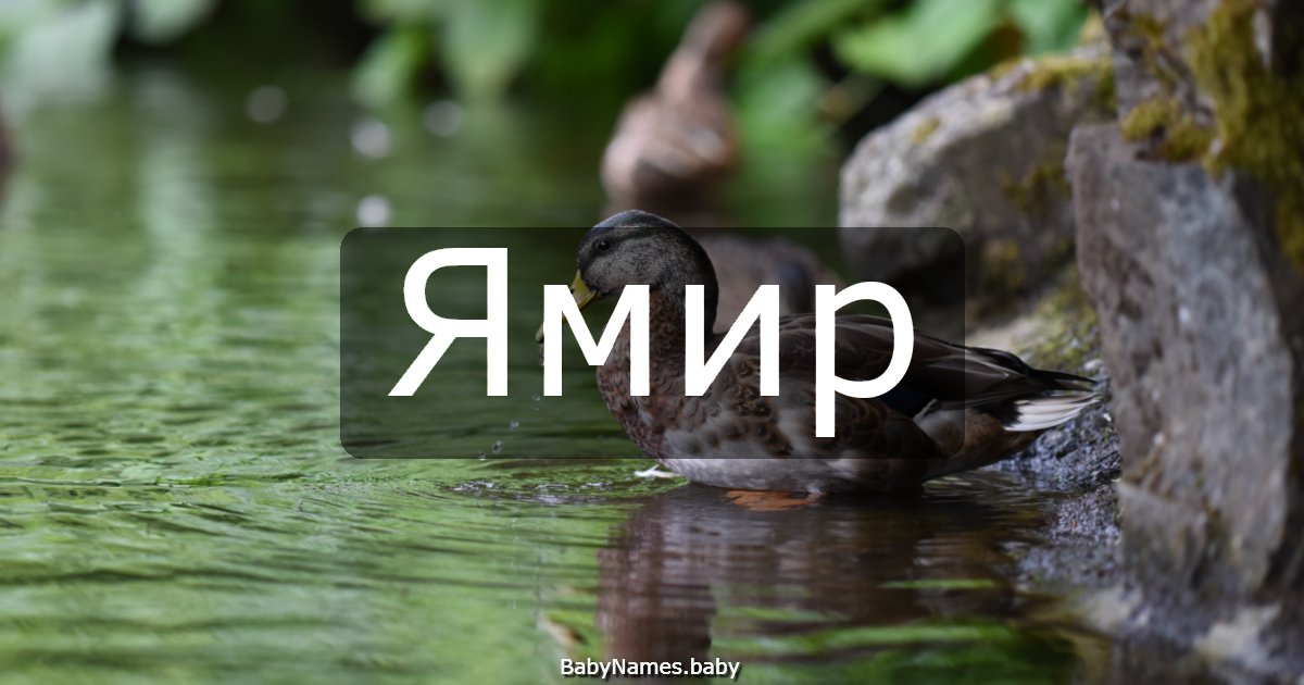 Ямир