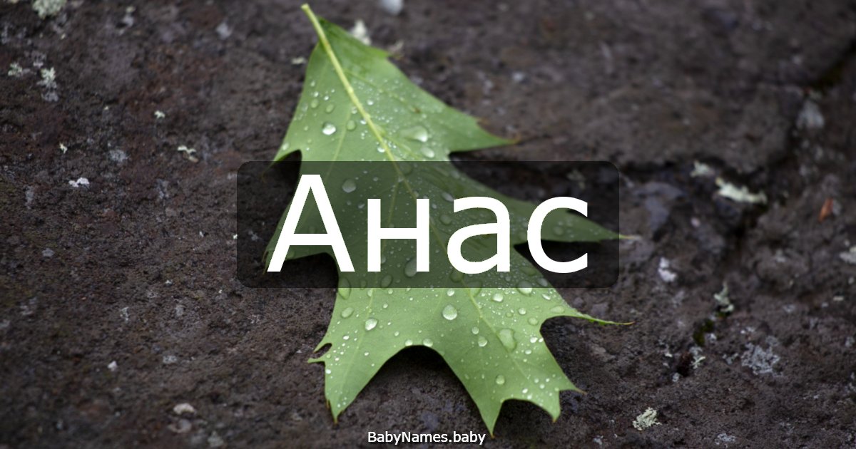 Анас
