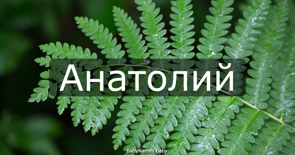 Анатолий