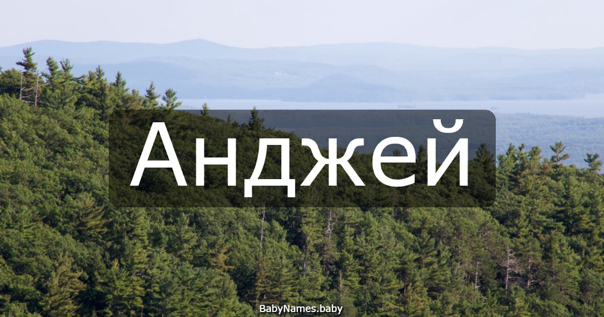 Анджей