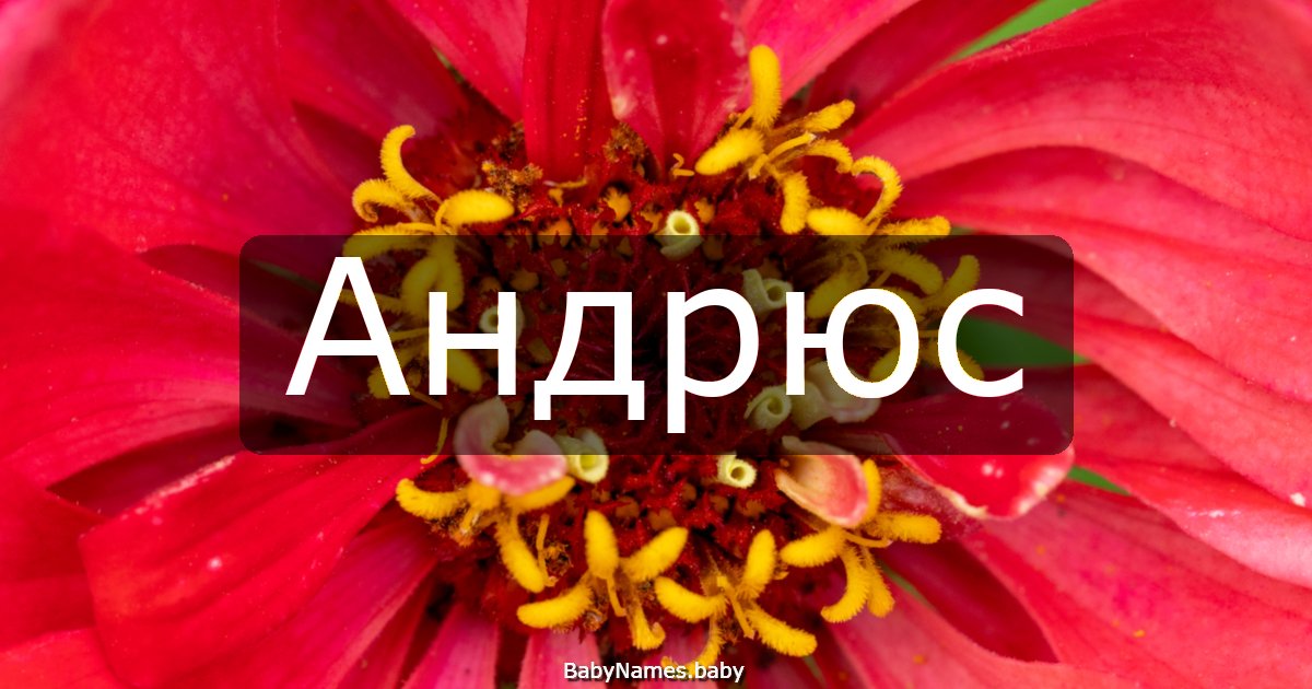 Андрюс