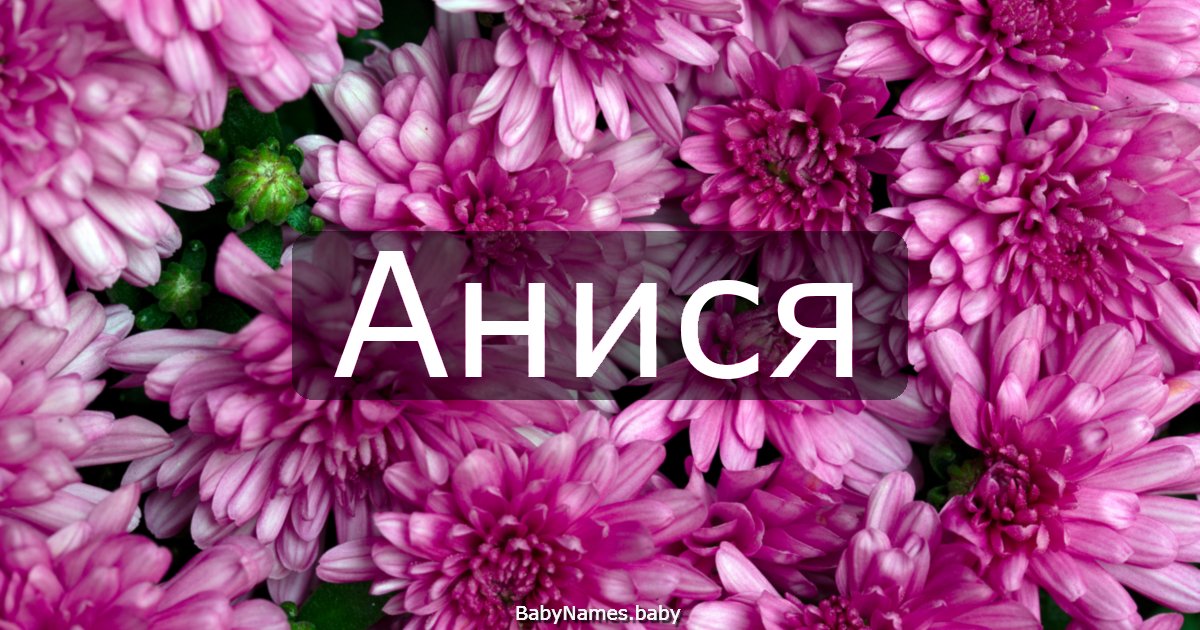 Анися