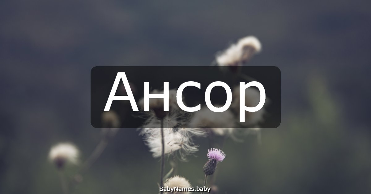 Ансор