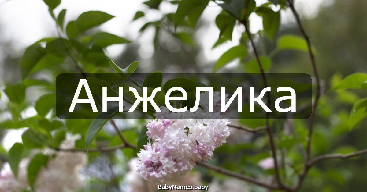 Анжелика