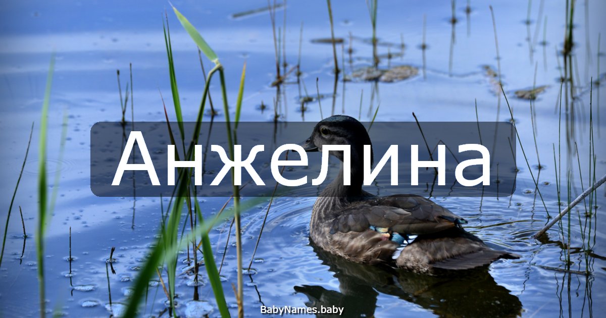 Анжелина