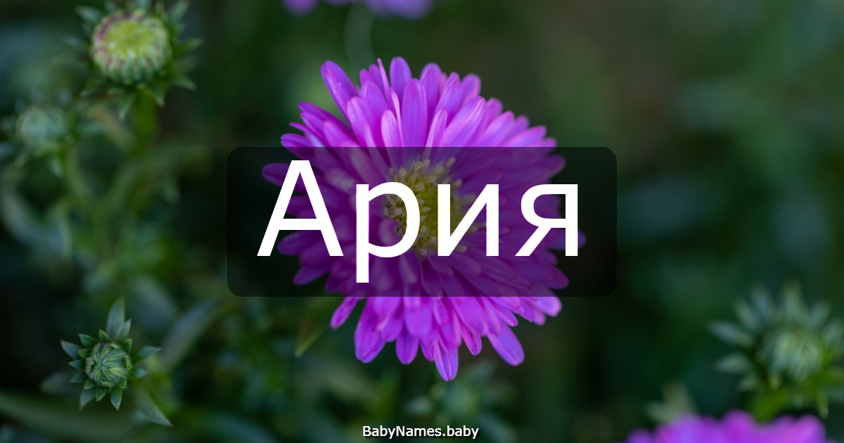 Ария