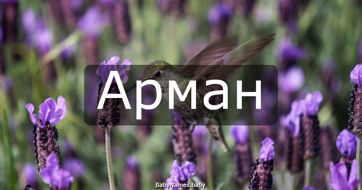 Арман