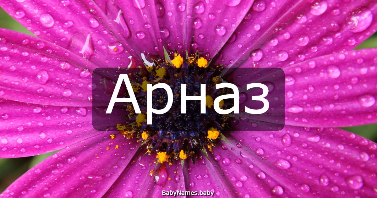 Арназ