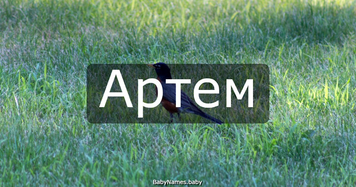 Артем