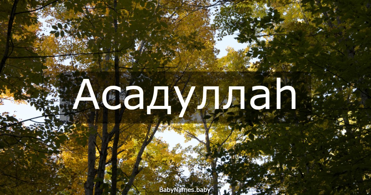 Асадуллаһ