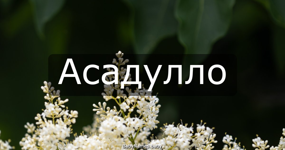 Асадулло