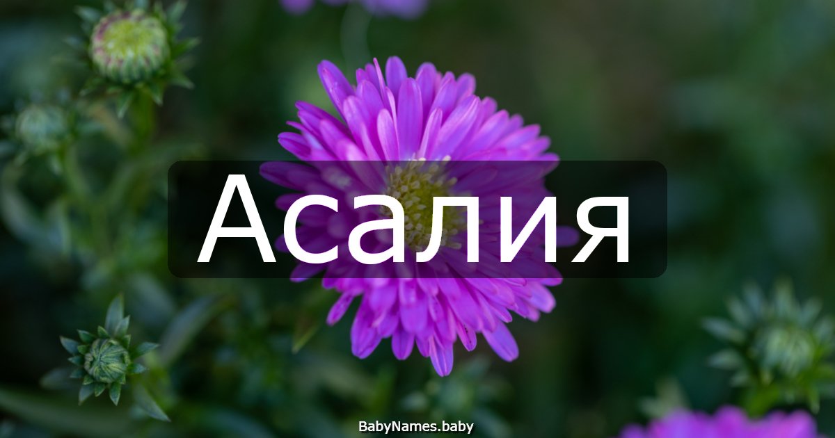 Асалия