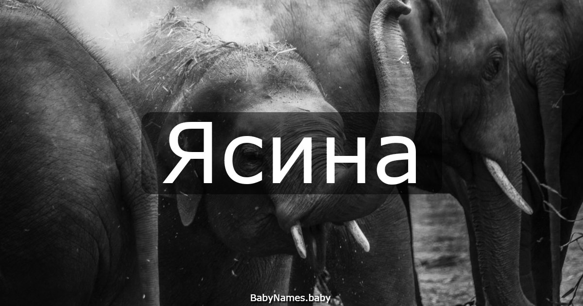 Ясина