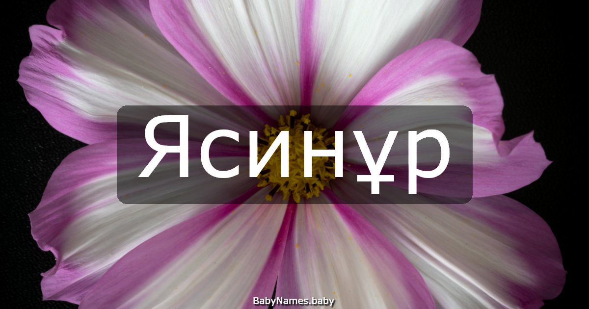 Ясинұр