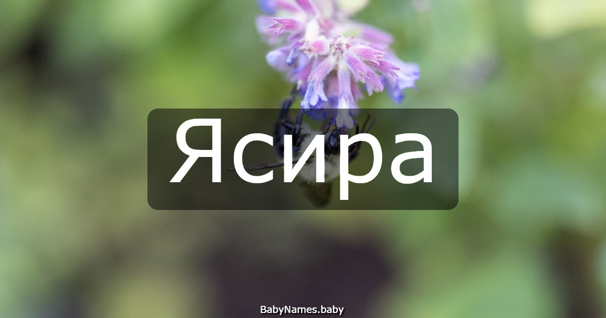 Ясира
