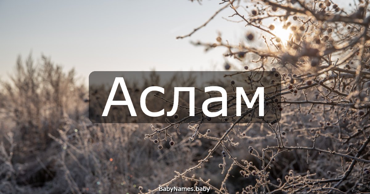 Аслам