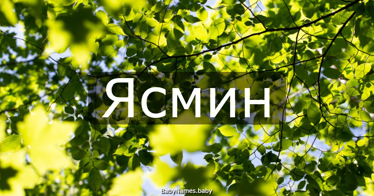 Ясмин