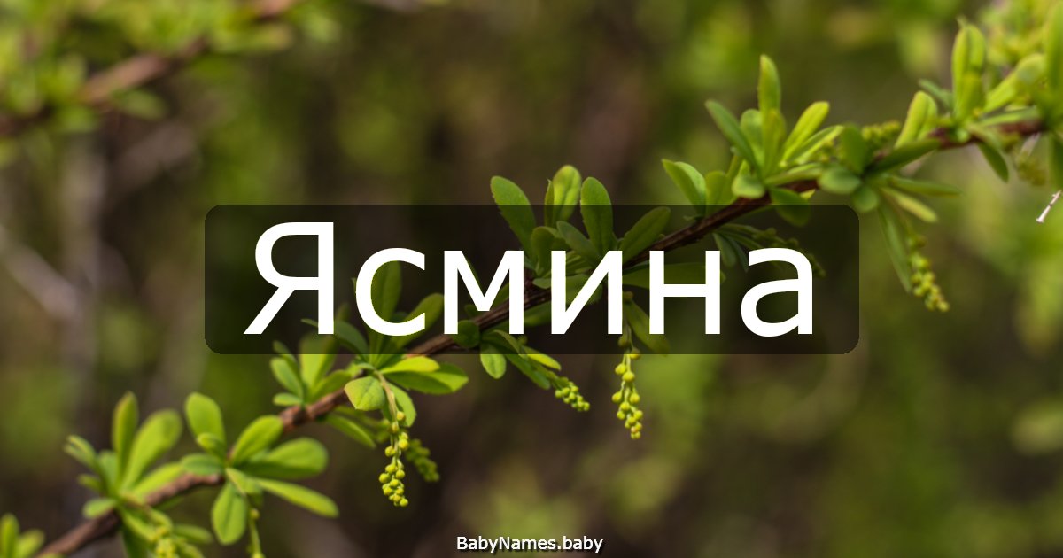 Ясмина