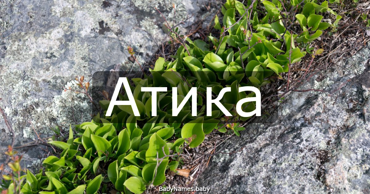 Атика