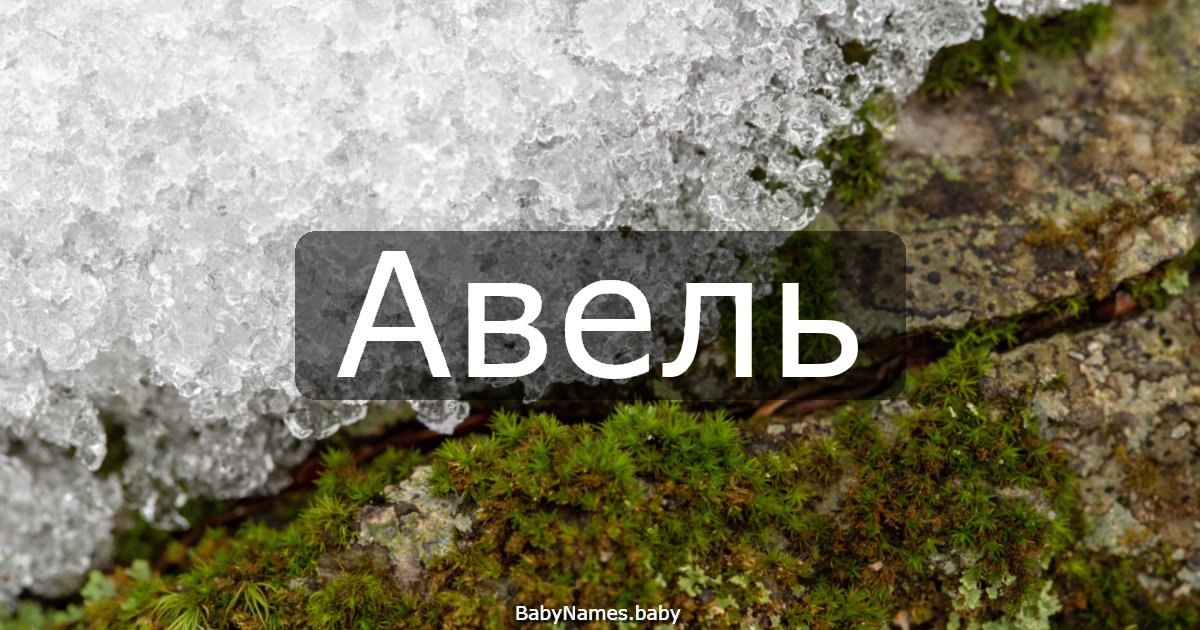 Авель