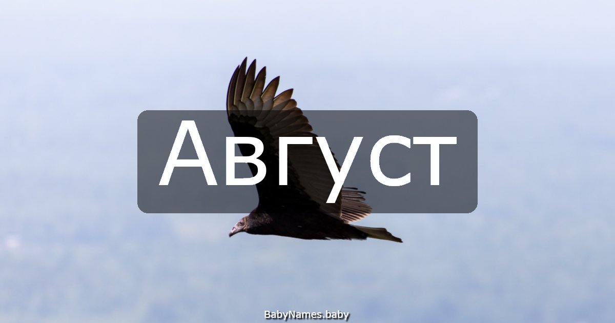 Август