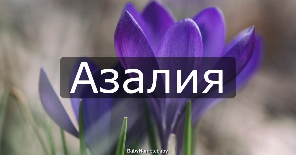 Азалия