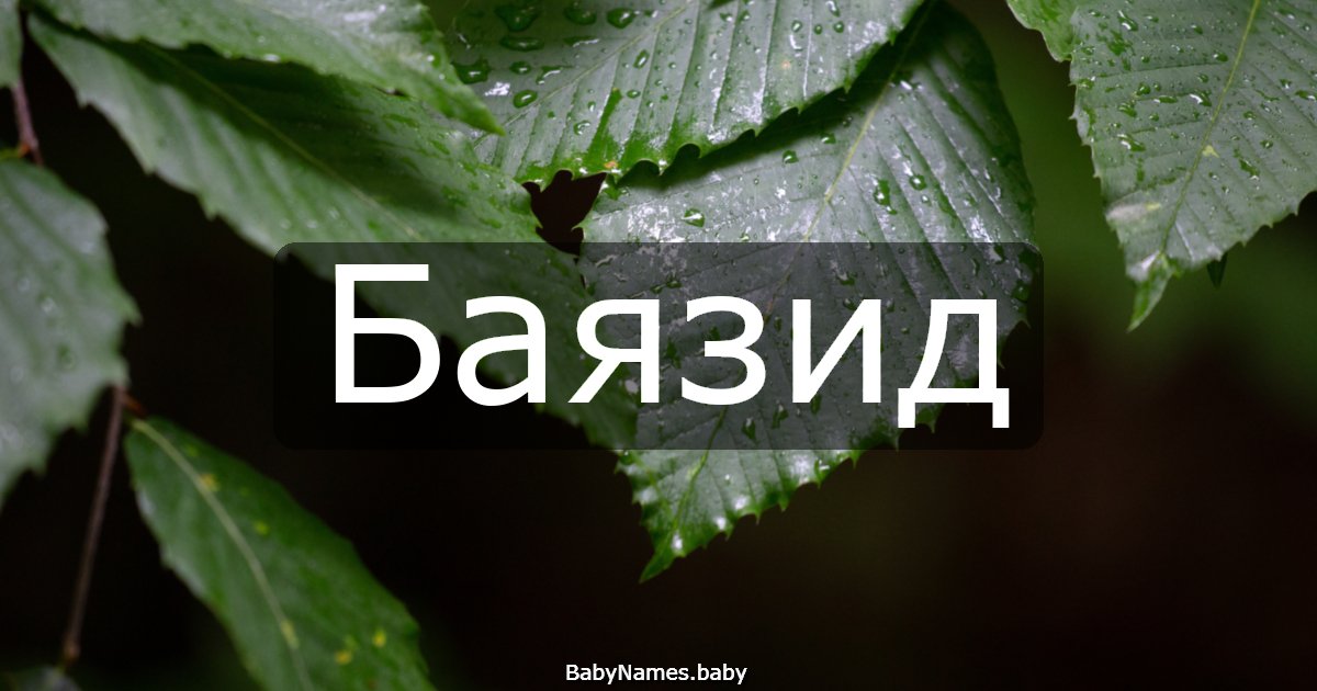 Баязид