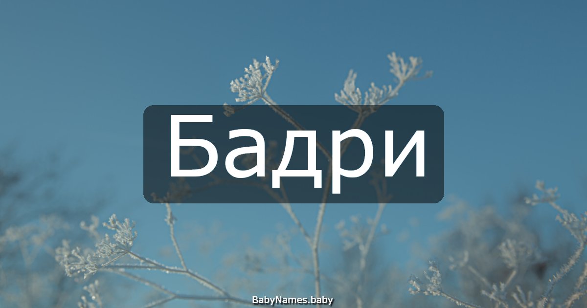 Бадри