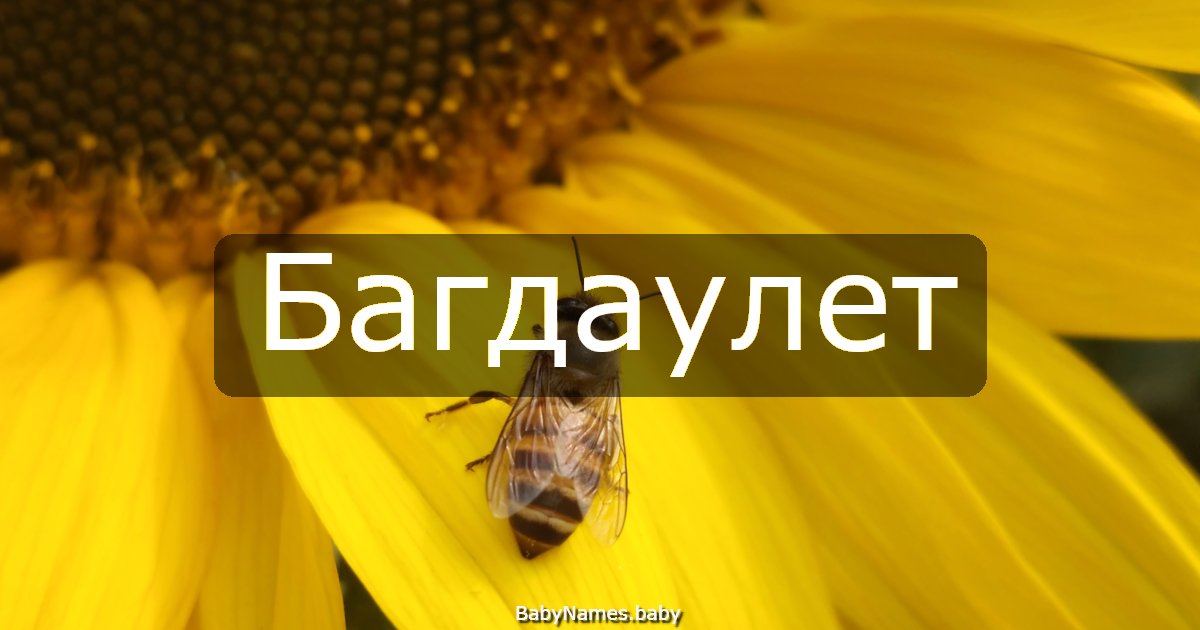 Багдаулет