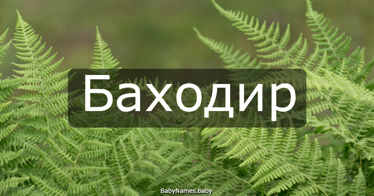 Баходир