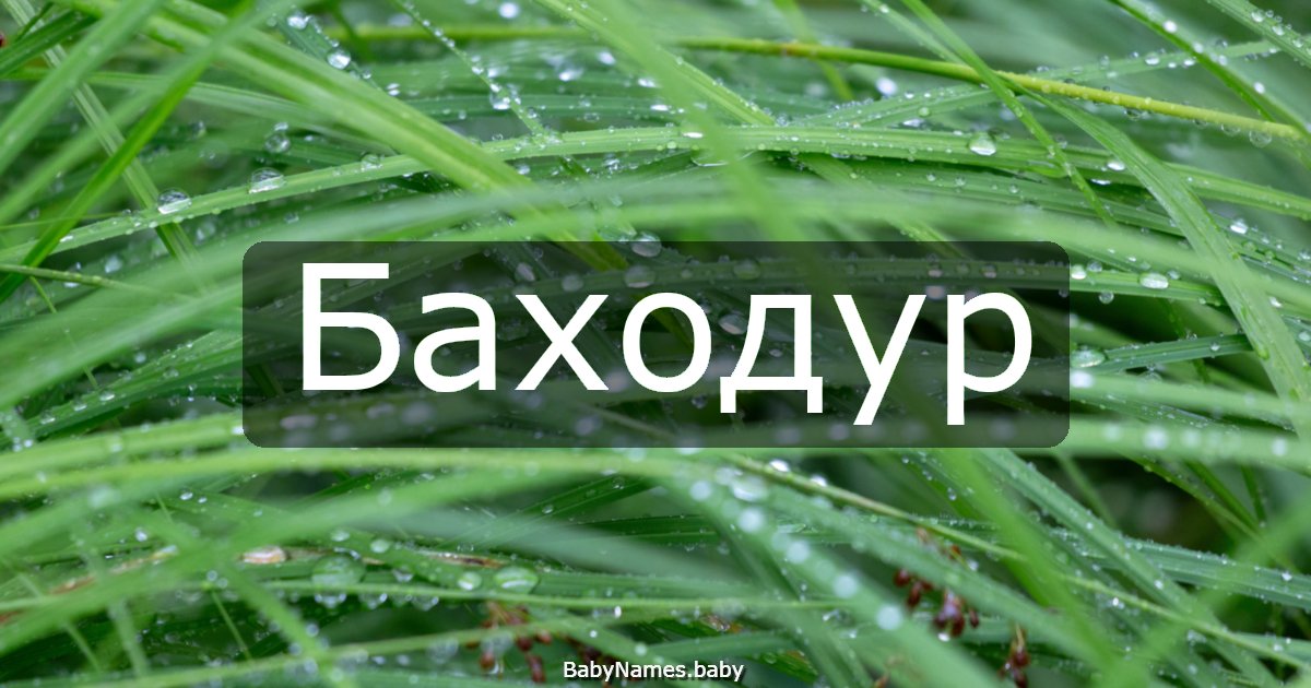 Баходур
