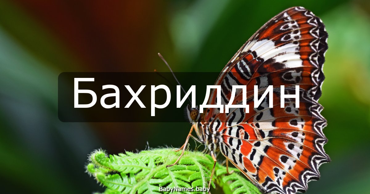 Бахриддин