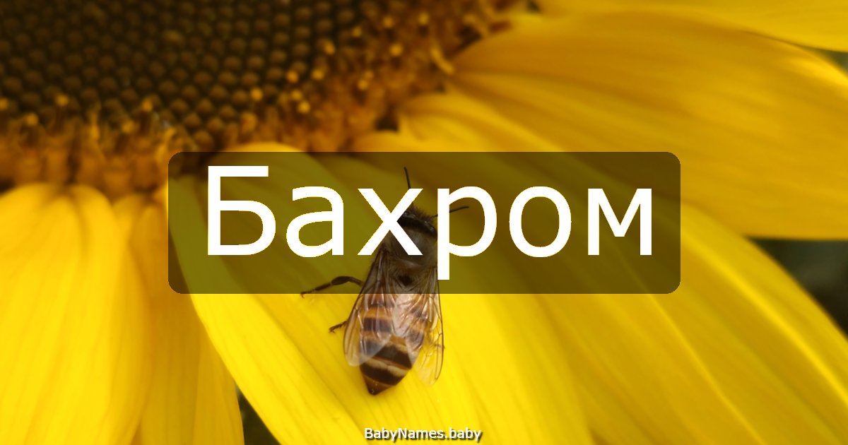 Бахром