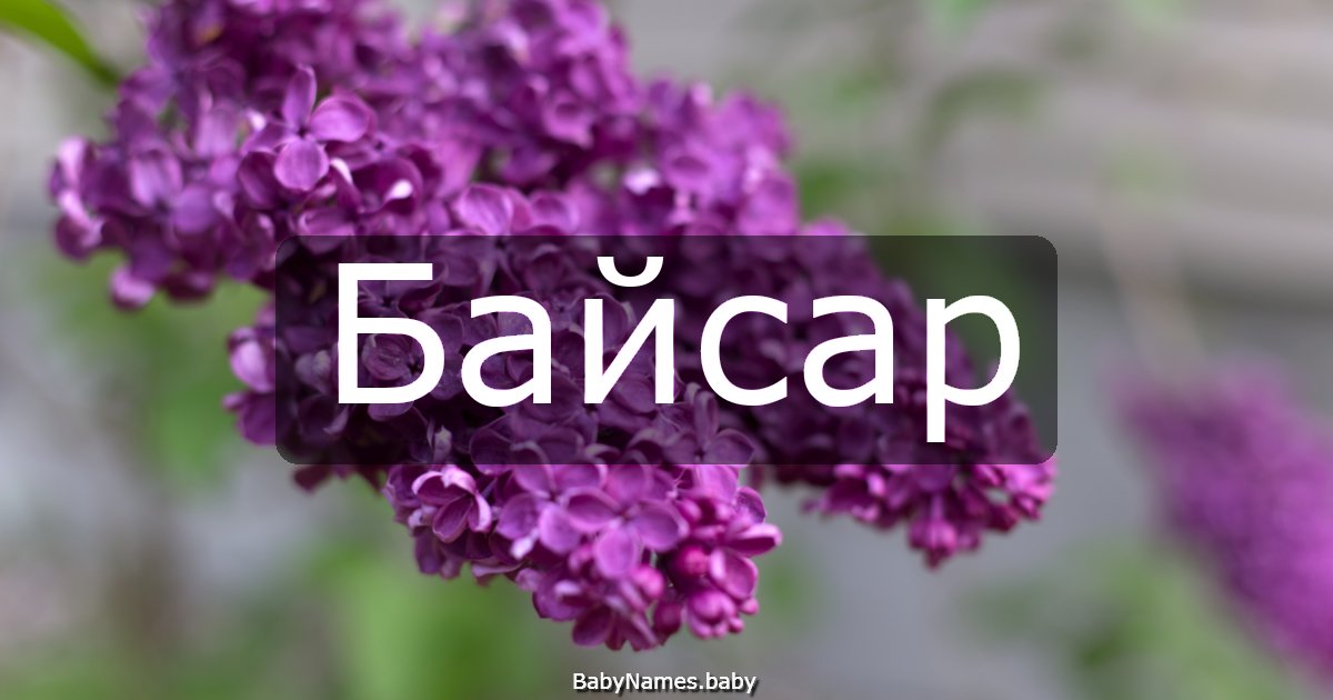 Байсар