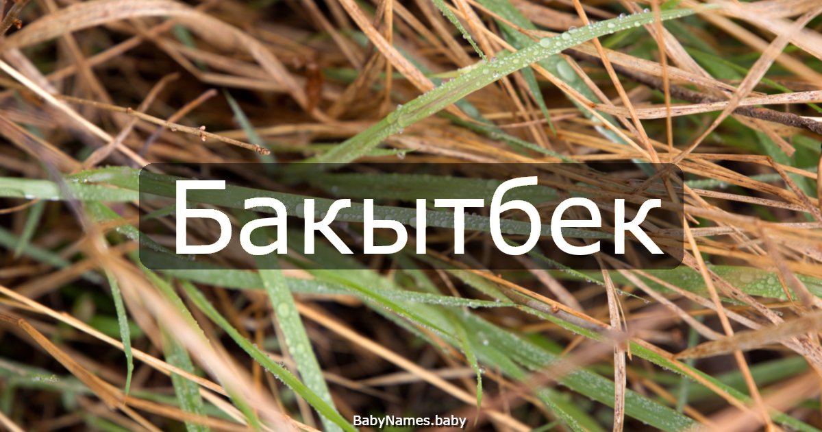 Бакытбек