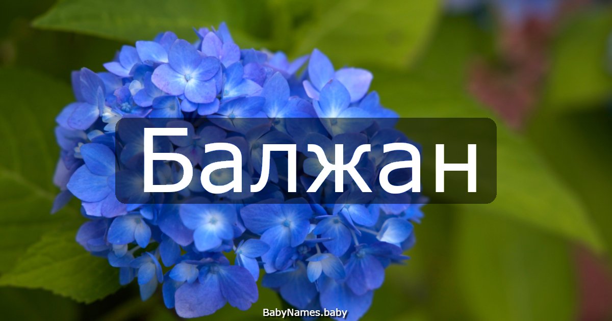 Балжан