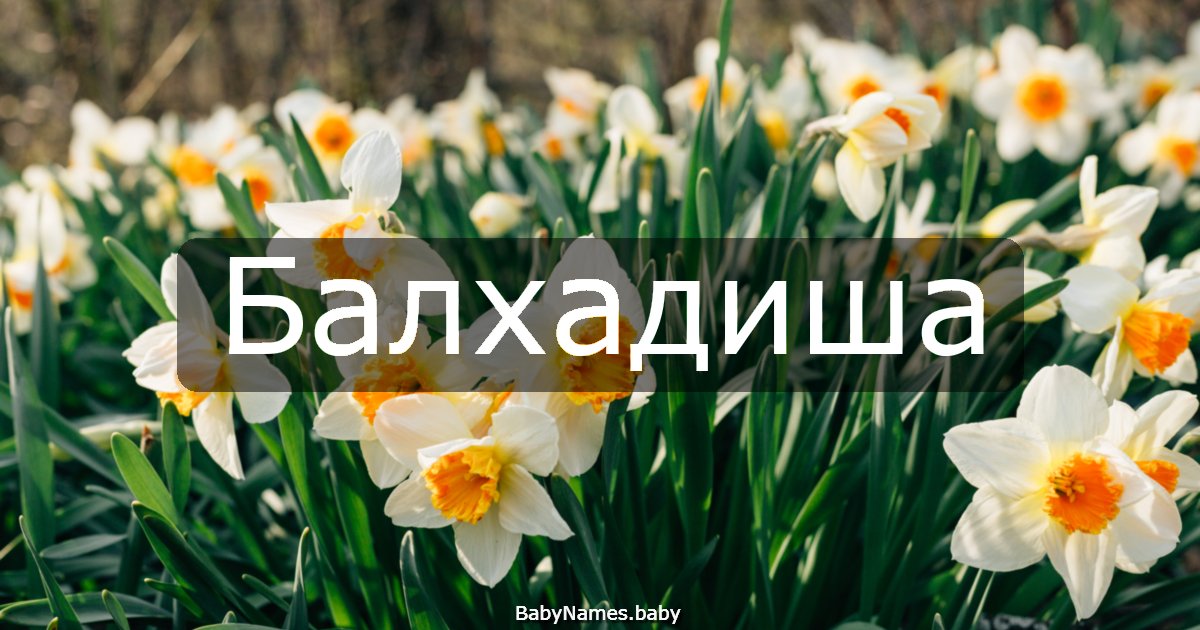Балхадиша
