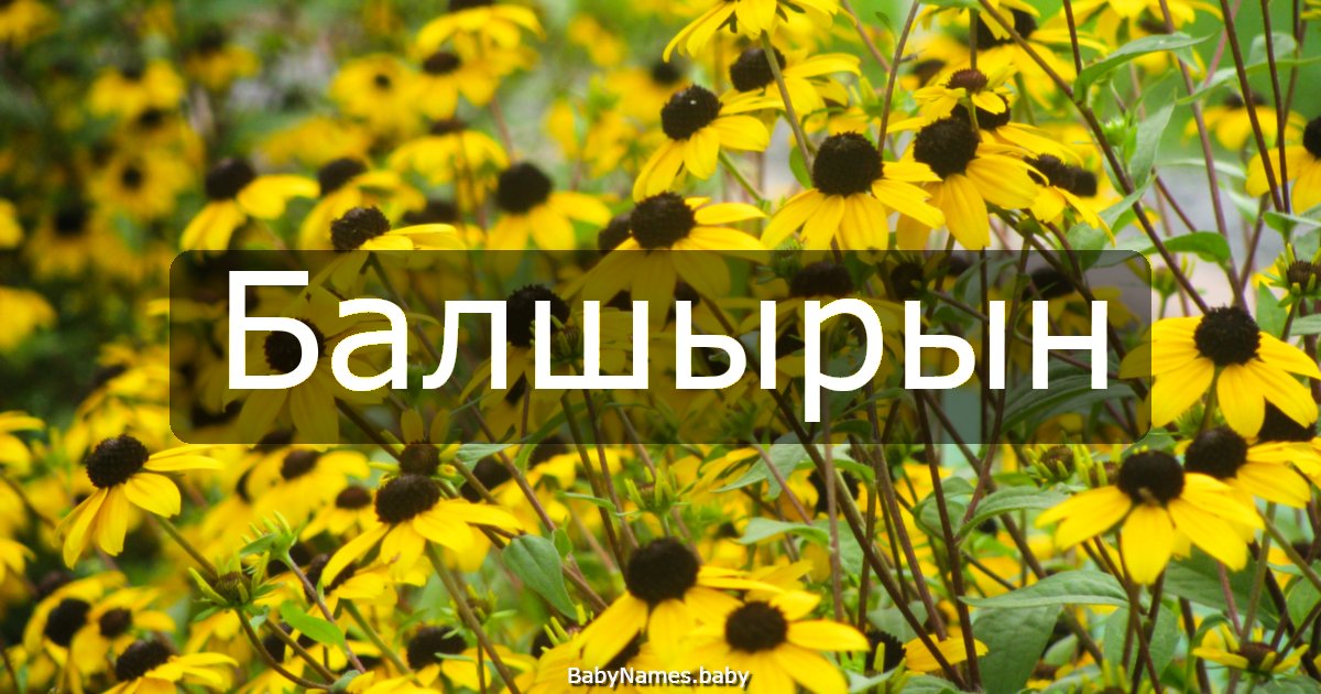 Балшырын
