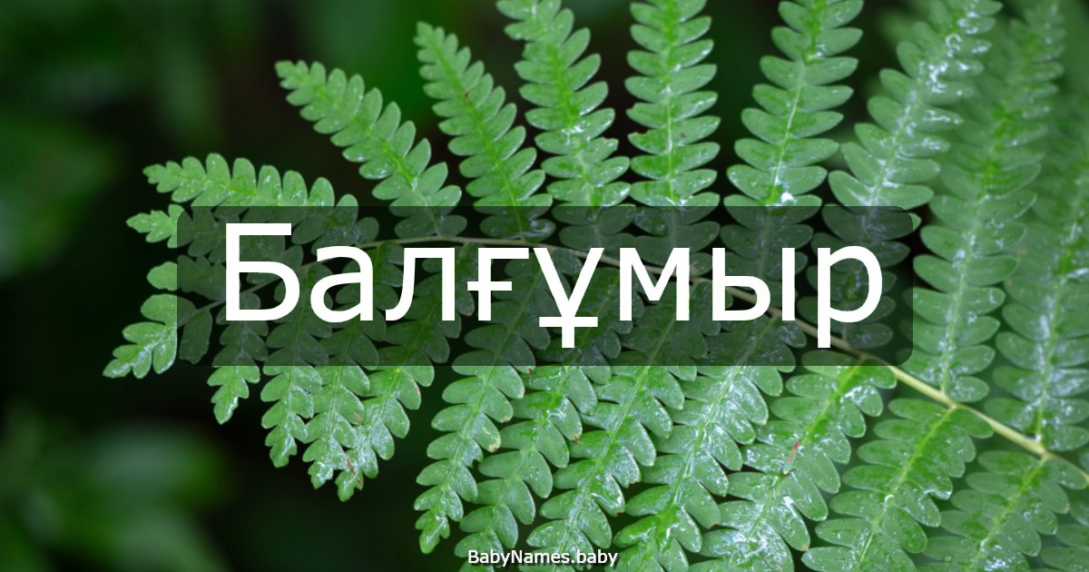 Балғұмыр