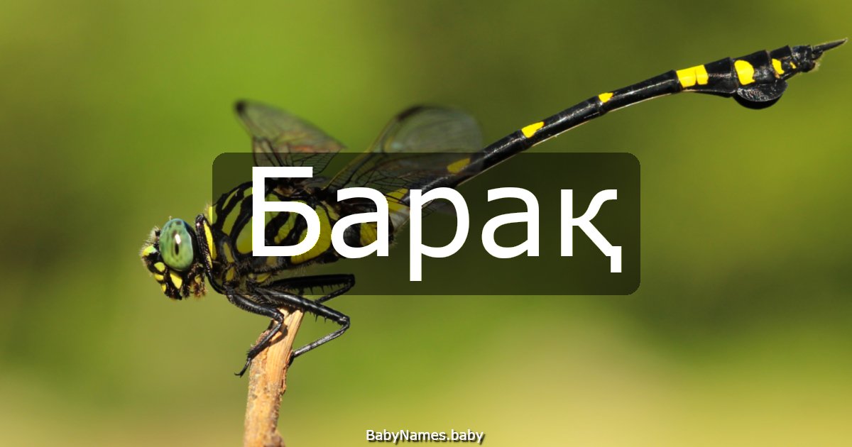 Барақ