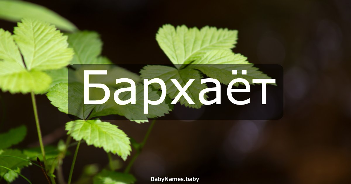 Бархаёт