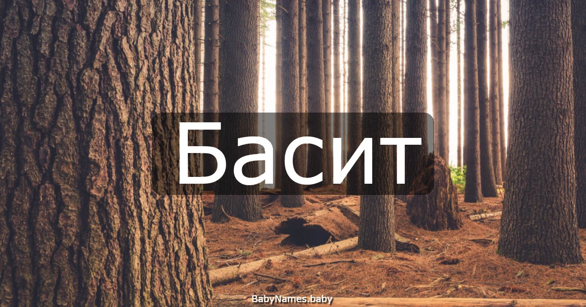 Басит