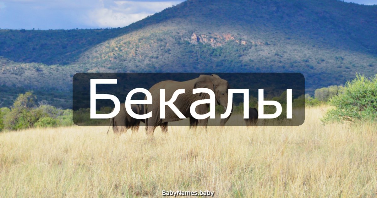 Бекалы