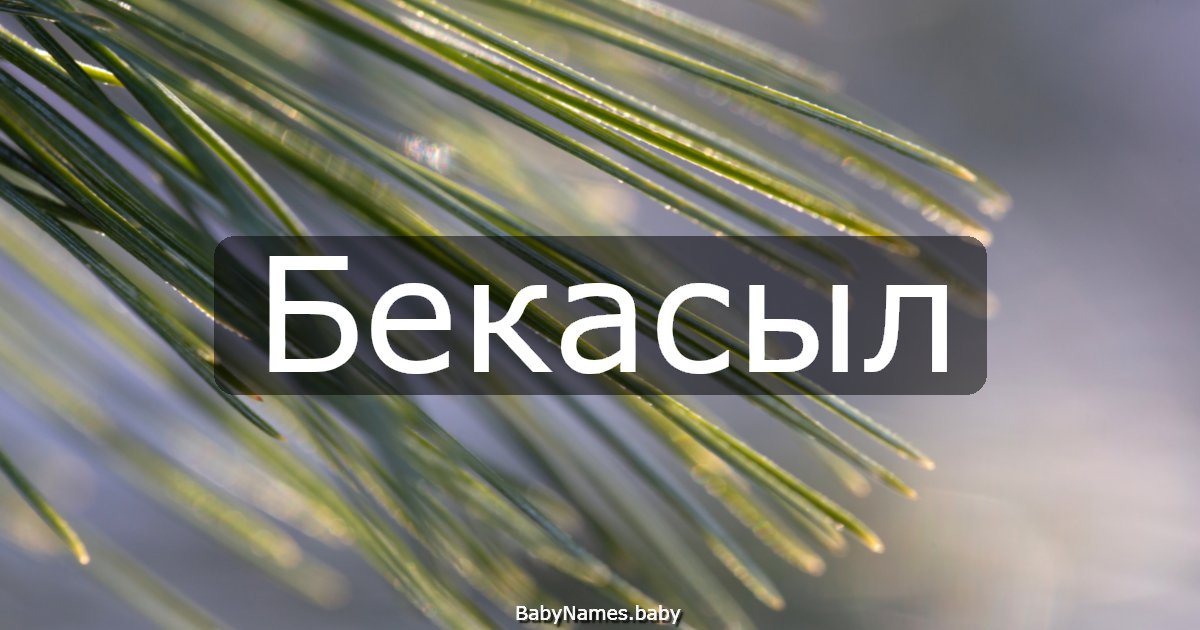 Бекасыл
